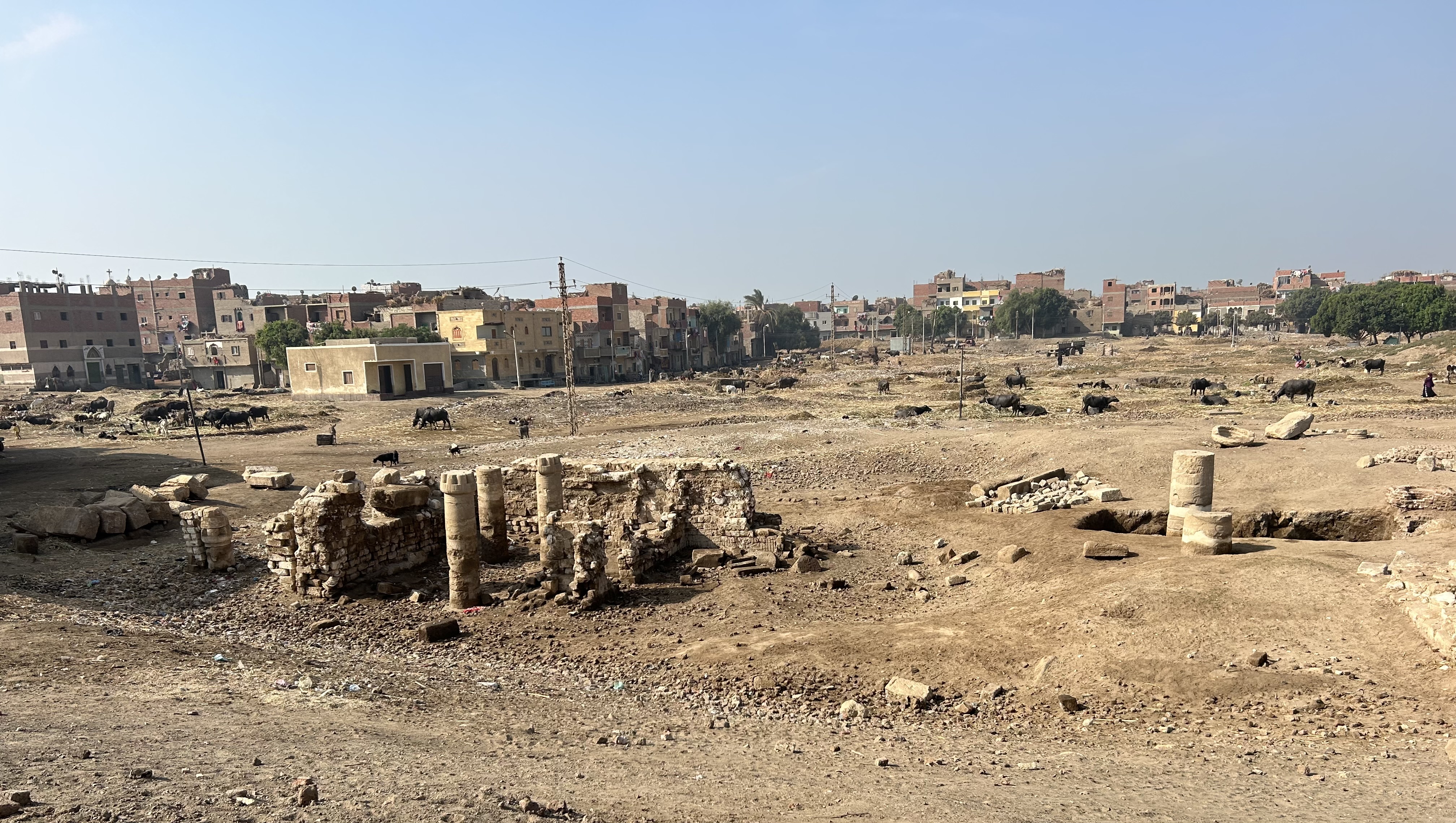 Hieroglyphs and Site Detail